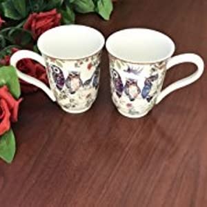 Lightahead Royal Bone China Unique Set Of Two Coffee / Tea Mugs in an Family of Owls Design