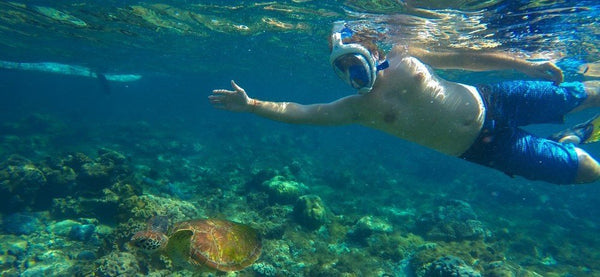 Lightahead 180° Full Face Snorkel Diving Gear Anti-Fog Anti-Leak with Easy Breath Design-L/XL-BLUE
