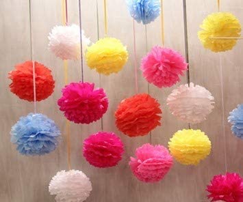 Lightahead Set of 15 Pcs Assorted Rainbow Colors Tissue Paper Pom Poms for Birthday Wedding Party Baby Shower Decorations