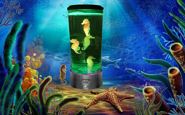 Lightahead LED Seahorse Lamp Round, 5 Color Changing Light Effect,Sea Horse Tank Aquarium Mood Lamp